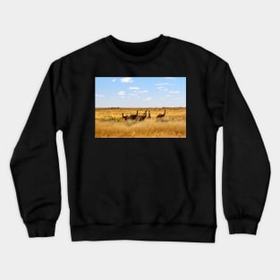 Emus in the Outback! Crewneck Sweatshirt